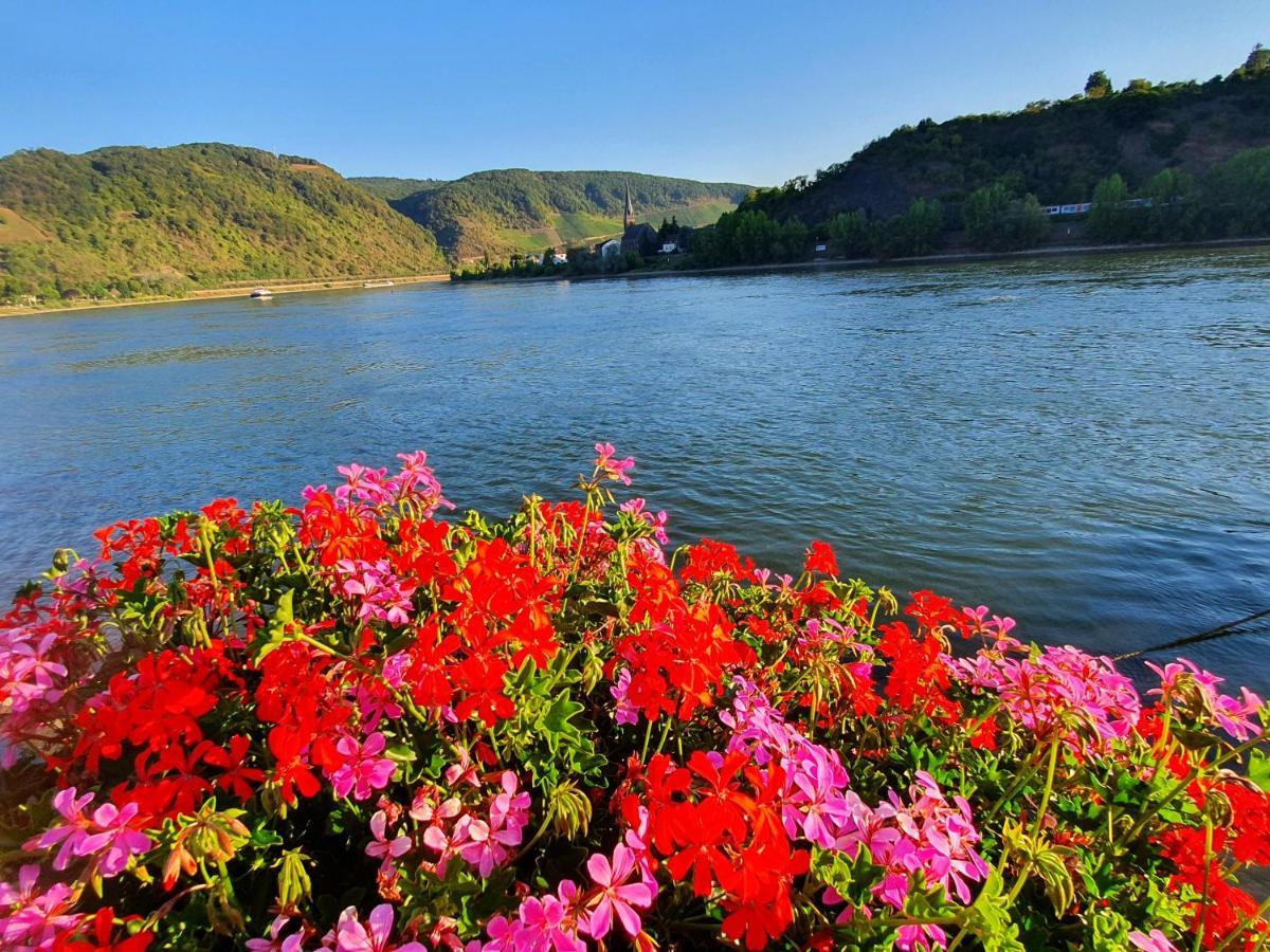 Grosse Wohnung Mit Rheinblick Boppard Esterno foto